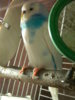 DSCN6819.JPG