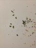 image-02-01-16-18-44.jpeg