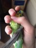 image.jpeg
