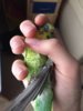 image.jpeg