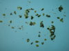 DSCN6829.JPG