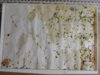 DSCN2235.JPG
