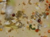 DSCN2237.JPG