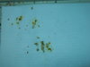 DSCN6851.JPG