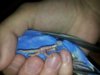 IMG_20160107_032503.jpg