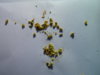 DSCN6862.JPG