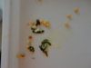 DSC02560.JPG