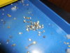 DSCN0252.JPG