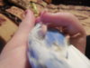 DSCN0251.JPG