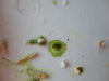 DSC02570.JPG