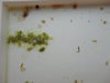 DSC02571.JPG