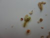 DSC02577.JPG