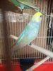 8BAB5965-5680-4DAA-981B-E51EEABBF358.jpeg