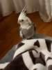 20180518_205303.jpg
