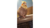 Снимок - 1.png