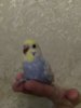 IMG_20190106_184425.jpg