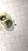 B4E12F58-0111-47E4-A634-652E88D2D3AA.png