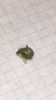 E3AA204E-1C7D-4B30-A5BB-25E3C23E8B0D.png