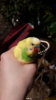 20181205_080710.jpg