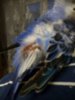 36B4B967-C88F-41C6-8F47-5961C698EB15.jpeg