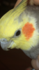 FBDB4619-8CED-47CF-B853-CBEB181FF269.png
