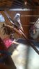 IMG-20190214-WA0002.jpeg