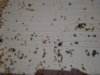 IMG_20190213_225150.jpg