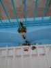 IMG_20190215_074727.jpg
