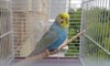 20180709_113751.jpg