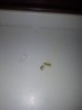 20190227_145149.jpg
