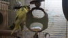 DSC03433.jpg