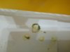 DSC_0735.JPG