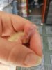 IMG_20190404_172651.jpg
