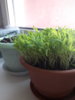 20190411_153339.jpg