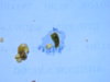 DSCN6905.JPG