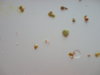DSC02587.JPG