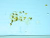 DSCN6909.JPG