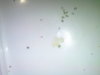 DSC00040.JPG