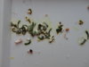 DSC02592.JPG