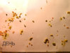 DSCN6921.jpg