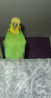 DSC03523.JPG