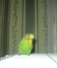 DSC04170.JPG