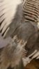 20160116_200540.jpg