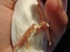 DSC00486.JPG