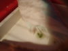 DSC00496.JPG