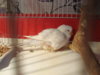 DSC00497.JPG