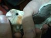 IMG_20160120_174600.jpg