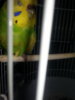 20160118_200059.jpg