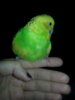 20160118_200129.jpg