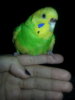 20160118_200123.jpg